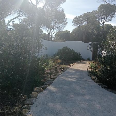 Casa Palmito 2 Villa Chiclana de la Frontera Exterior photo